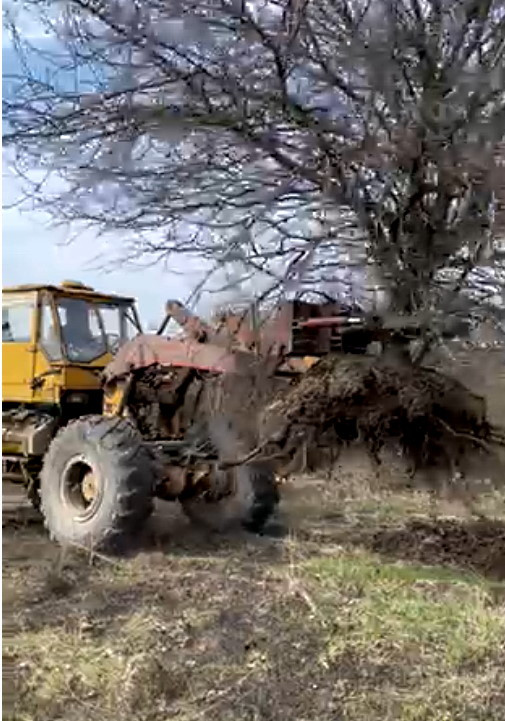 Корчеватель деревьев к трактору Т156 гидравлический КРД-2Г-156-80 (+2гидроцилиндра +шланги) - фото 9 - id-p1734457884