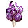Повітряні кулі Агат Фіолет 10"(25см). В упак: 5 шт. Пр-во: Китай, фото 2