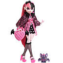 Монстр Хай Дракулаура Лялька Monster High Draculaura with Accessories and Pet HHK51, фото 3