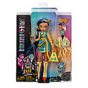 Монстр Хай Клео де Ніл Лялька Monster High Cleo De Nile with Accessories and Pet HHK54, фото 9