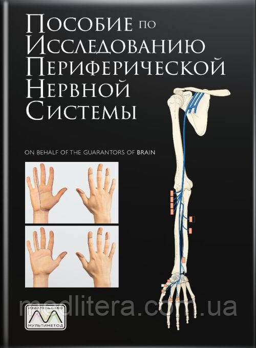 О'Браєн. Співвідношення з дослідження периферичної нервової системи