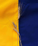 Прапор України з габардину, великий, 140х90, з кишенею під держак