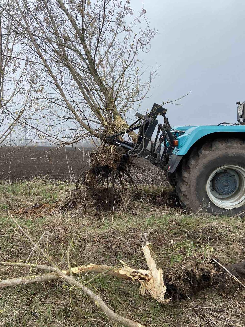 Корчеватель деревьев к трактору Т150 гидравлический КРД-2Г-151-80 (+2гидроцилиндра +шланги) - фото 4 - id-p1734665574