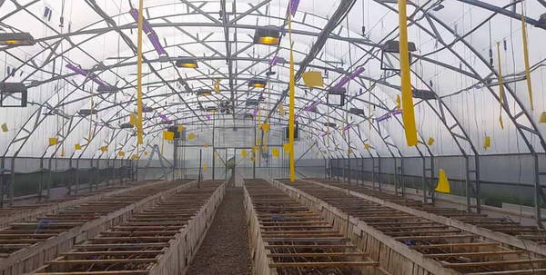 купить теплицу с полной автоматизацией