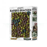 Barbed Bracken, Citadel