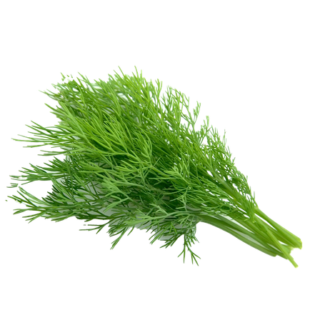 Насіння кріпу