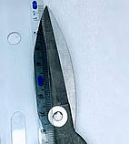 Ножиці для шкіри, фото 4