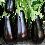 Насіння баклажан Алмаз 5 г середньостиглий, фото 2