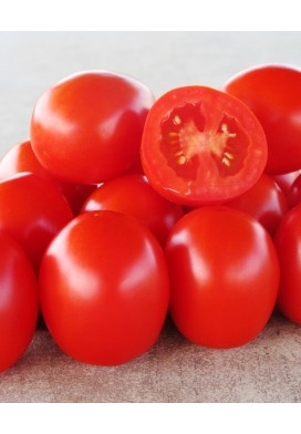Насіння томату Боцман F1 10 000 насінин Lark Seeds