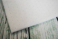 Ткань равномерного плетения 3281/1129 Cashel, цвет - белый в голубую точку, 28ct