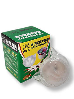 Нічник Кішка