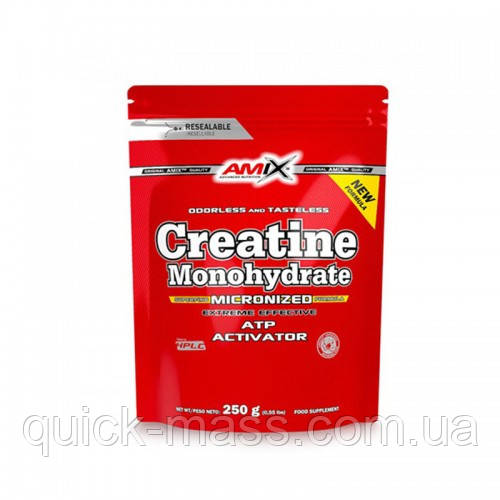 Креатин моногідрат Amix Creatine monohydrate 250g