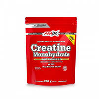 Креатин моногідрат Amix Creatine monohydrate 250g