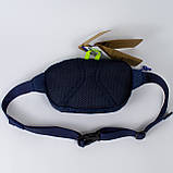 Сумка на пояс Patagonia Ultralight Black Hole® Mini Hip Pack 1L месенджер барсетка бананка патагонія, фото 7