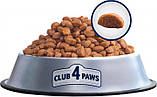 Сухий корм для дорослих кішок Club 4 Paws (Клуб 4 Лапи) Преміум. Чутливе травлення 14 кг (4820083909399), фото 2