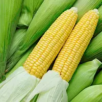 Брусниця насіння кукурудзи солодкої 100 г