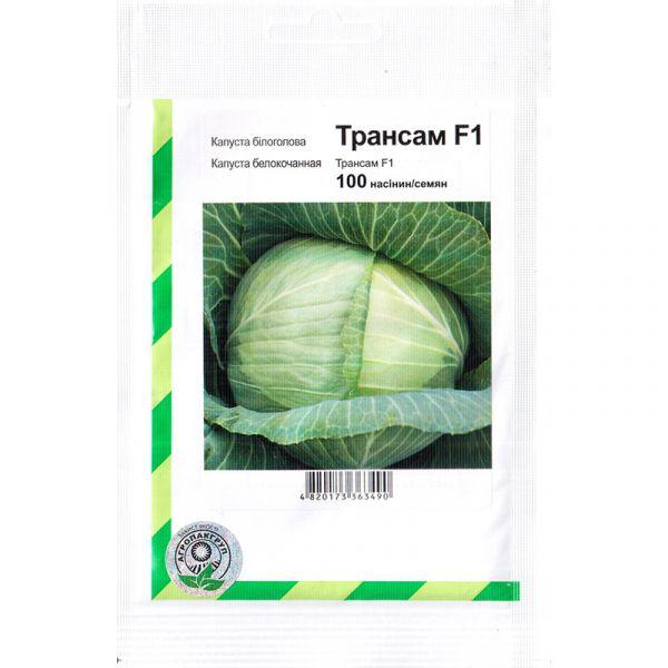Насіння капусти білоголової "Трансам" F1 (100 насінин) від Bejo, Голландія