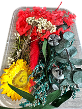 Набір сухих квітів для декору сухоцвіти  (6), фото 2