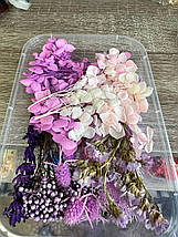 Набір сухих квітів для декору сухоцвіти (9), фото 3