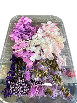 Набір сухих квітів для декору сухоцвіти (9), фото 2