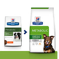 Дієтичний сухий корм Prescription Diet Canine Metabolic лікувальний для собак з ожирінням Хіллс 12 кг. з куркою, фото 4