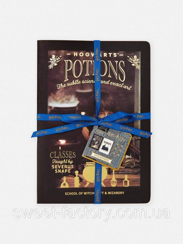 Набір Блокнот і Ручка Harry Potter Planer set