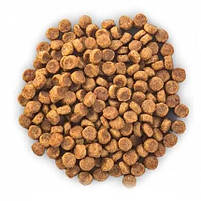 Дієтичний сухий Корм Hill's PD Canine Gastrointestinal Biome для дорослих собак для травлення Хіллс 10 кг., фото 5