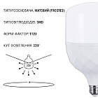 Світлодіодна лампа Biom HP-50-6 T120 50 W E27 6500 K, фото 6