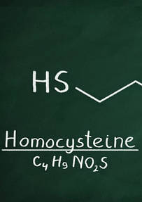 Homocysteine Гомоцистеїн