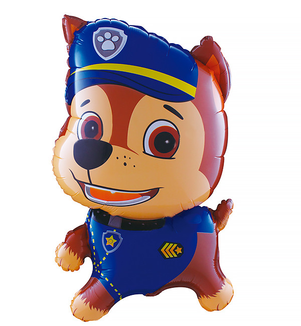 Повітряні кулі "Гонщик", 45х74 см