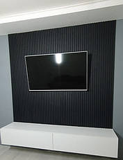 Стінові рейкові панелі чорного кольору в інтер'єрі 1