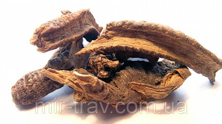 Тирлич жовтий корінь (Пелюстка)