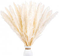 Натуральна пампасна трава сухоцвіт білий і пухнастий декор для прикрашання та декору будинку, весілля, 30 шт.