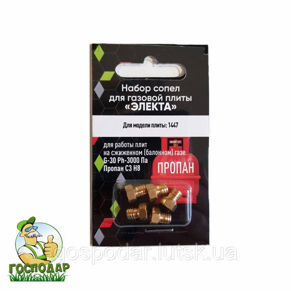 Набір сопел плити Електа на балонний газ, форсунки М-6*1мм до газової плити (комплект 5 шт), фото 1