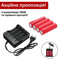 Выгодное предложение! Мощные аккумуляторы 4 шт. на 2200 mAh + зарядка для них! Батарейки с зарядкой