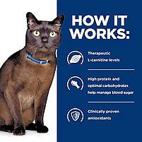 Hill's Prescription Diet m/d Сухий корм для котів Лікувальний при цукровому діабеті, з куркою, 3 кг. Хіллс, фото 4