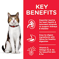 Сухий корм з куркою Hills Science Plan Mature Adult 7+ для зрілих котів від 7 років Хіллс 3 кг., фото 5