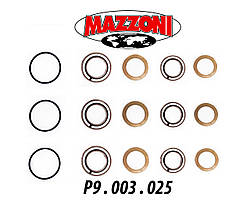 Ремкомплект сальників Mazzoni Kit P9.003.025