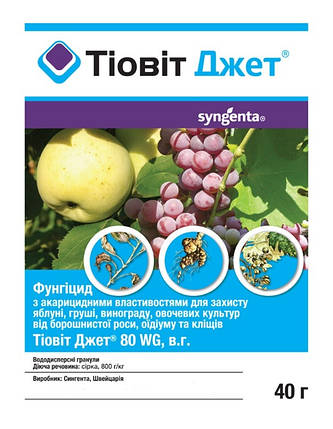 Тіовіт Джет 40 г фунгіцид, Syngenta, фото 1