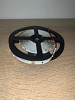 Светодиодная лента LED ЛЕНТА 6500K, 5 W, 2835, 60 ШТ., IP33, 12V, 480 LM, , бухта 5м