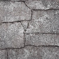 Шпалери вінілові на флізеліновій основі Erismann Code Nature сірий 1,06 х 10,05м (12151-47)