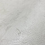 Шпалери вінілові на флізеліновій основі Marburg Loft Superior бежевий 1,06 х 10,05м (34136), фото 3