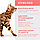 Optimeal Cat Adult Sterilised Bef & Sorghum 4кг корм для стерилізованих кішок (яловичина), фото 5