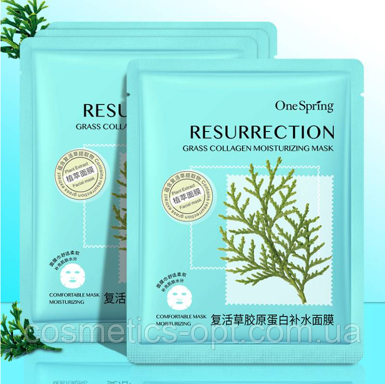 ПРИМ*ЯТЕ ПАКУВАННЯ! Відновлююча маска One Spring Ressurection Grass Collagen Moisturizing Mask