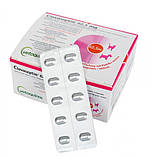 Смачні таблетки з антибіотиком КЛАВАСЕПТІН (Клавасептин) 62,5 мг №10, фото 2