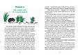 Книга Гра в індіанців, або Ніколи не смійся з крокодила - Леся Воронина (9789669829139), фото 3