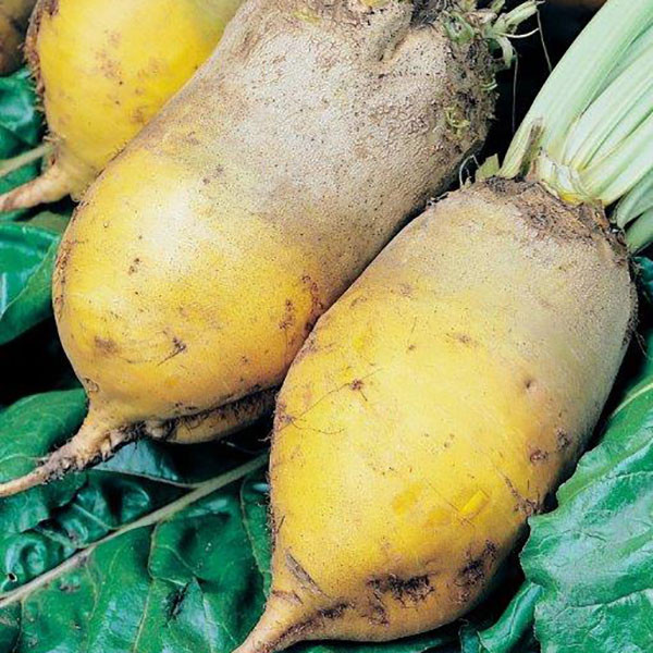 Сонет 300 гр (СН), фото 1