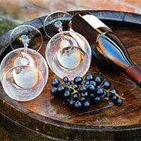 Домашнє виноробство