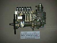 Насос топливный Д-260.2 (аналог 627.11110050001-02) (пр-во Motorpal) PP6M10P1f-3492