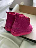 Черевики жіночі UGG Neumel Suede Neon Pink 10301, фото 7